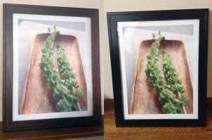 Frame Upcycle