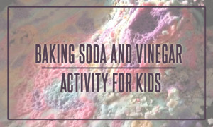 Baking Soda and Vinegar Activity